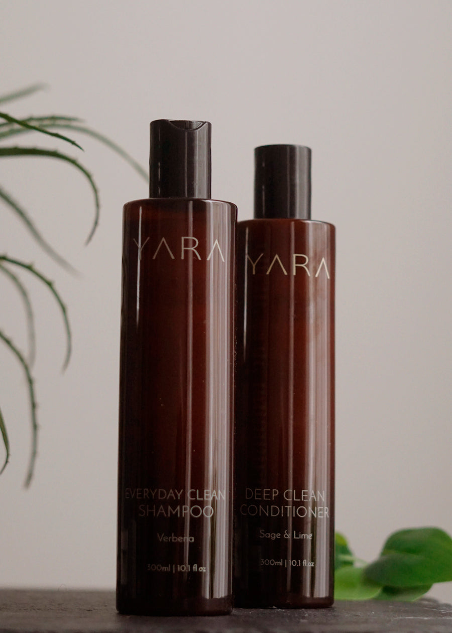 Everyday Clean Shampoo